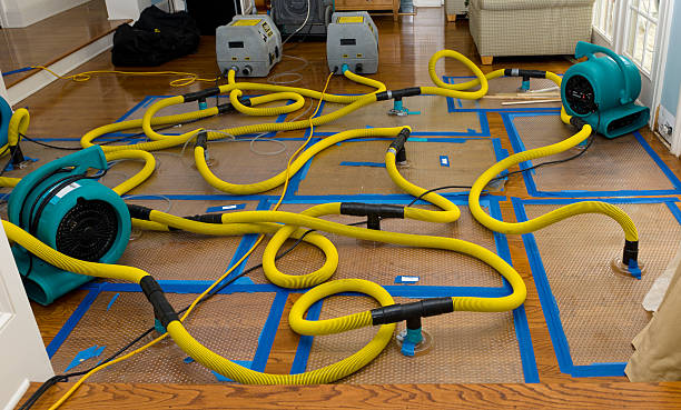 Professional Water Damage Repair technician working in Sylmar, CA